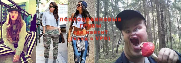 герыч Алексин