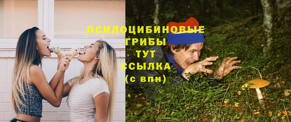 ПСИЛОЦИБИНОВЫЕ ГРИБЫ Алзамай