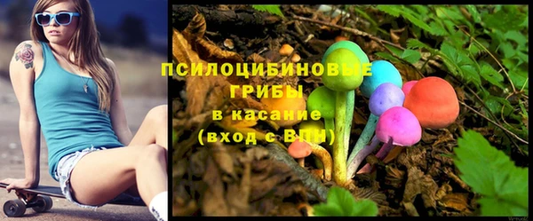 индика Алексеевка