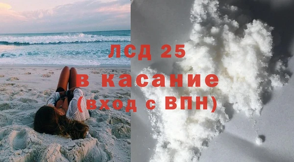 ПСИЛОЦИБИНОВЫЕ ГРИБЫ Алзамай