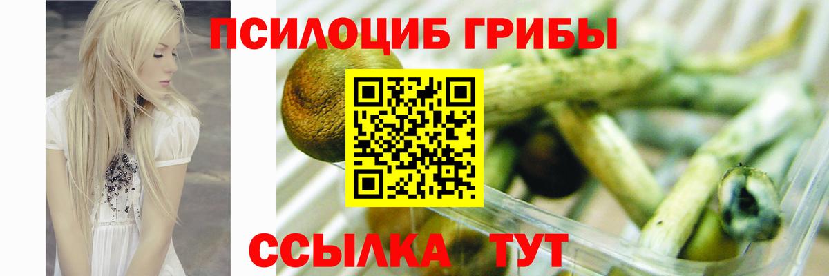 Галлюциногенные грибы GOLDEN TEACHER  где найти   Вход с VPN  Димитровград  Галлюциногенные грибы мицелий 